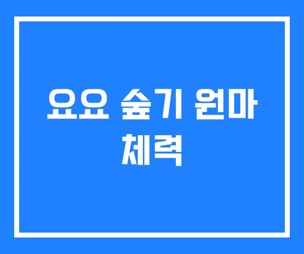 요요 숲기 원마 체력