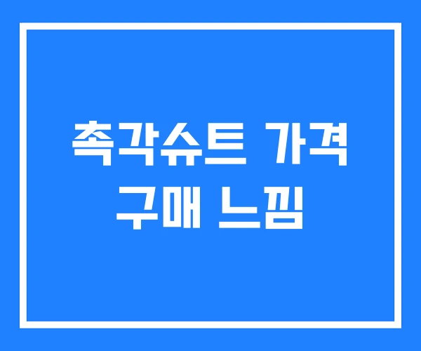 촉각슈트 가격 구매 느낌 촉각슈트 가격 구매 느낌