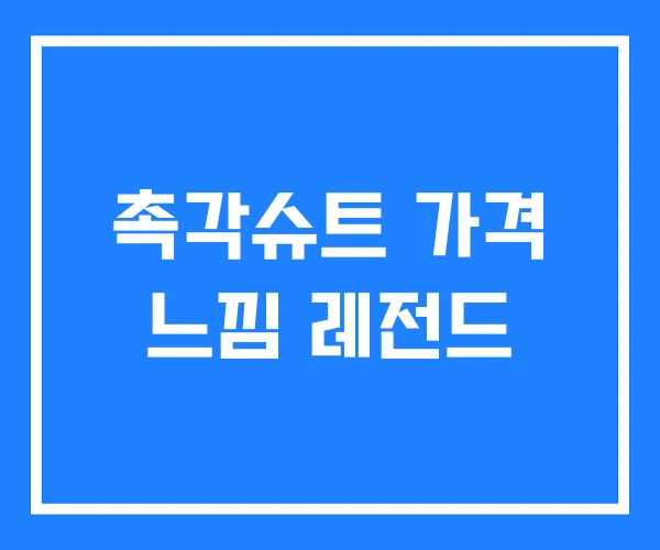 촉각슈트 가격 느낌 레전드