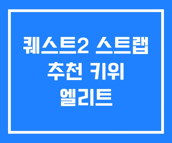 퀘스트2 스트랩 추천 키위 엘리트 퀘스트2 스트랩 추천 키위 엘리트