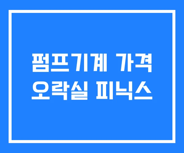 펌프기계 가격 오락실 피닉스 펌프기계 가격 오락실 피닉스