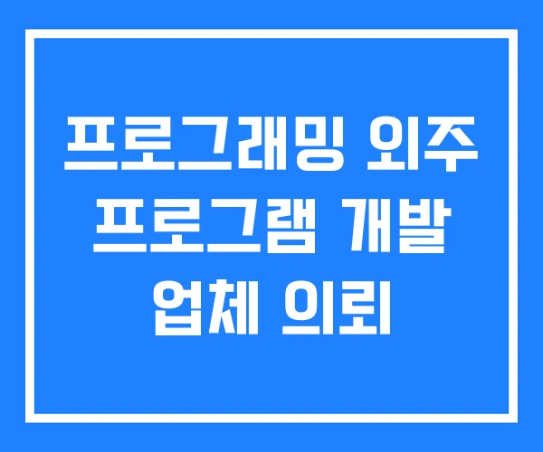 프로그래밍 외주 프로그램 개발 업체 의뢰 프로그래밍 외주 프로그램 개발 업체 의뢰