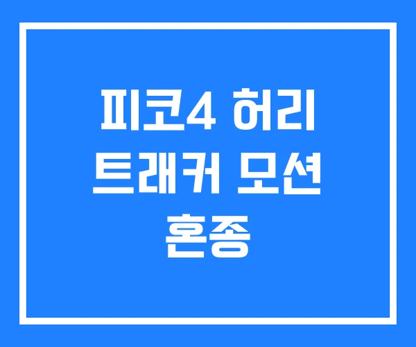 피코4 허리 트래커 모션 혼종 피코4 허리 트래커 모션 혼종